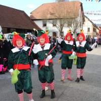 Jubiläumsumzug Schergässler